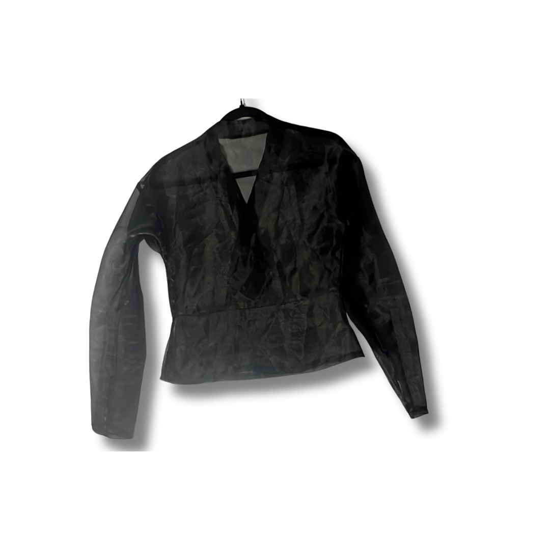Sheer black organza blouse