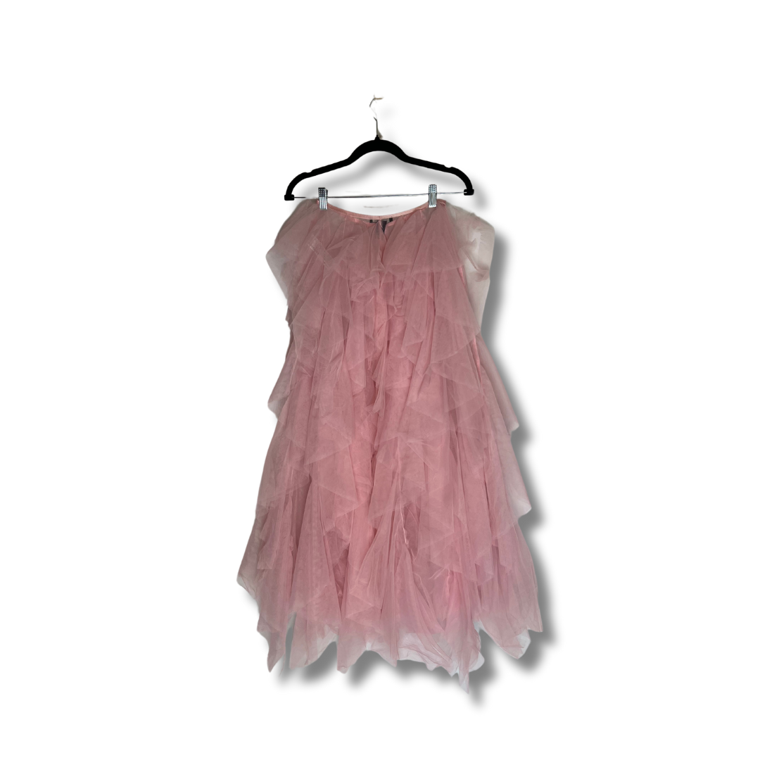 NWT Tulle skirt + mini dress