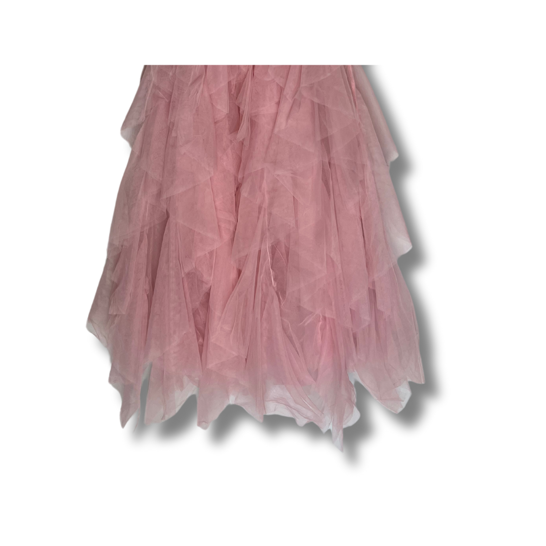 NWT Tulle skirt + mini dress